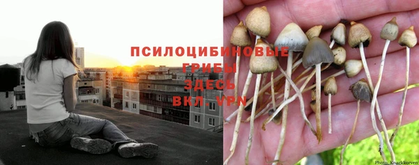 a pvp Семикаракорск