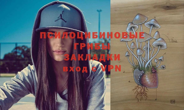 ешки Семилуки