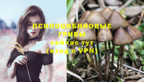 ешки Семилуки
